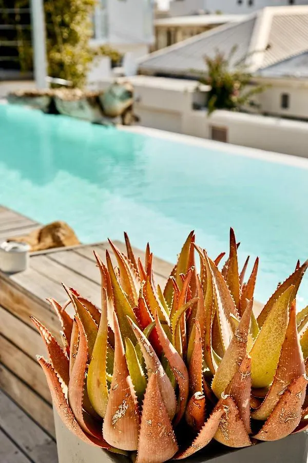 Dysart Boutique Hotel - Solar Power Cape Town