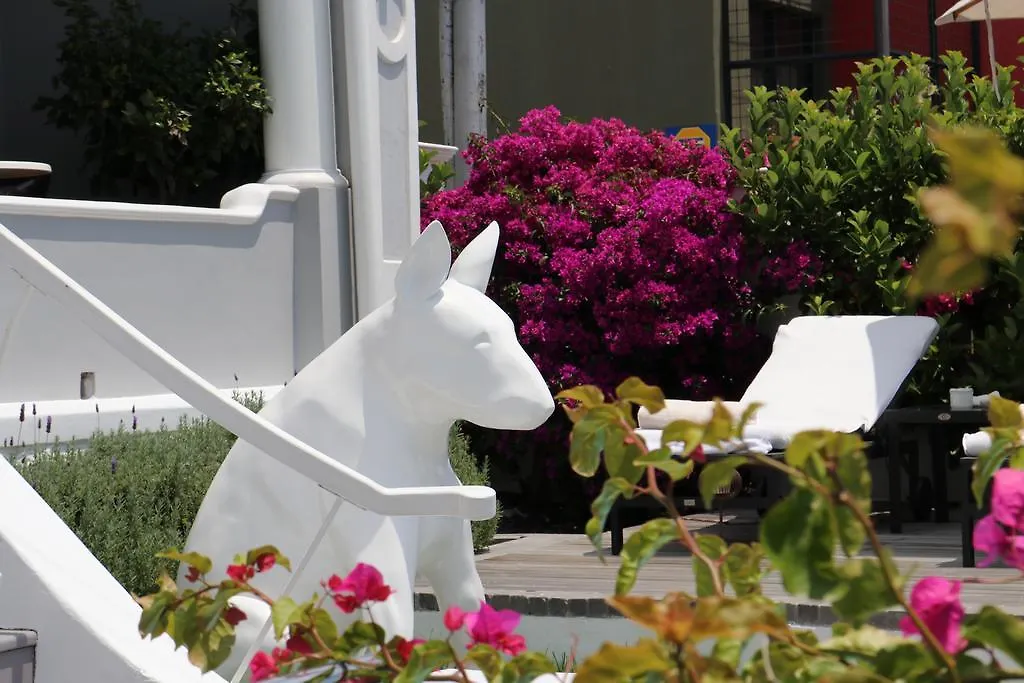 Dysart Boutique Hotel - Solar Power Cape Town South Africa